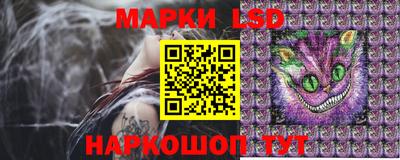 гидра Гай