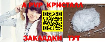 гидра Гай