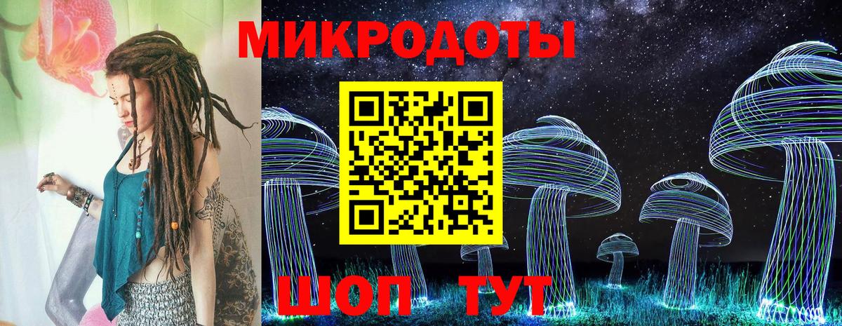 Галлюциногенные грибы Psilocybine cubensis Надым