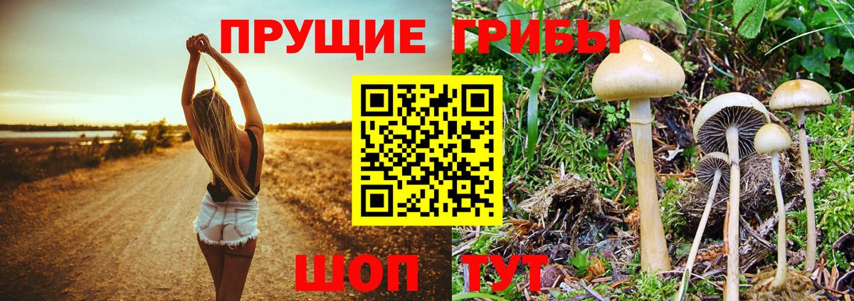 Надым  Псилоцибиновые грибы Psilocybe  Вход с VPN 